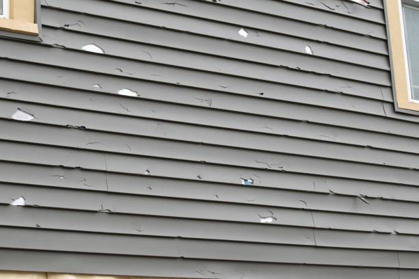 Affordable Siding Repair and Maintenance Services in Neenah, WI